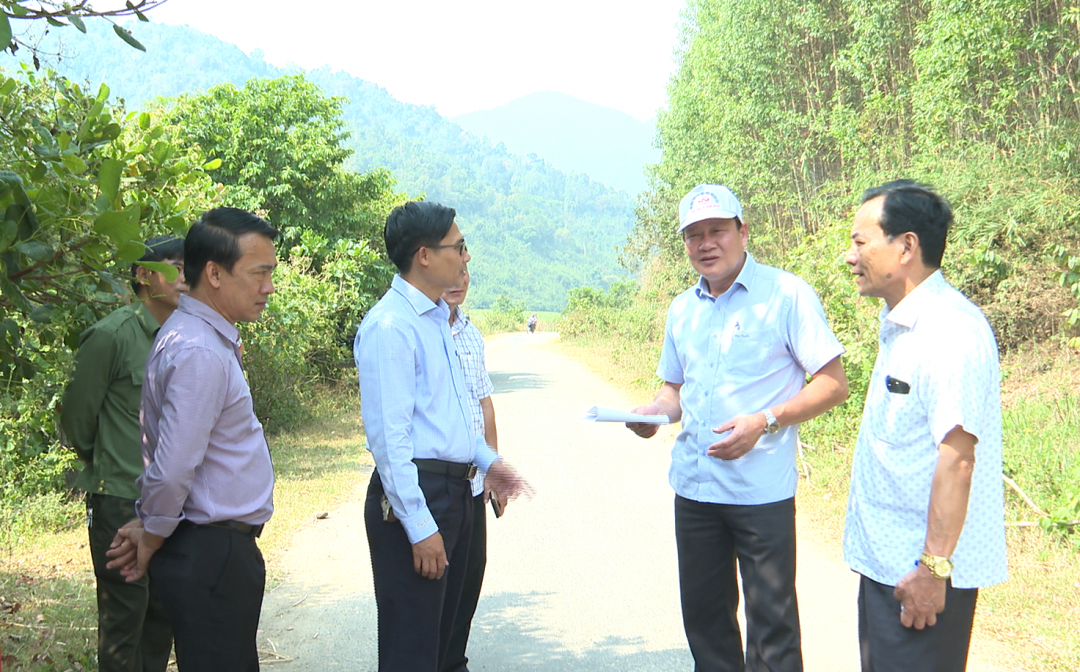 Giám sát về công tác trồng rừng, phát triển rừng tại huyện Krông Bông